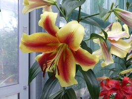 Foto: Dr. Peter Müller